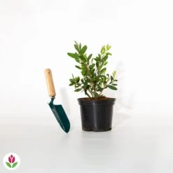 Rince-bouteille 9 Rince-bouteille -Promos Jardinove Magasin 020152 wil qlh 020152 1 1704706838076